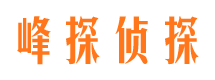 龙海侦探公司